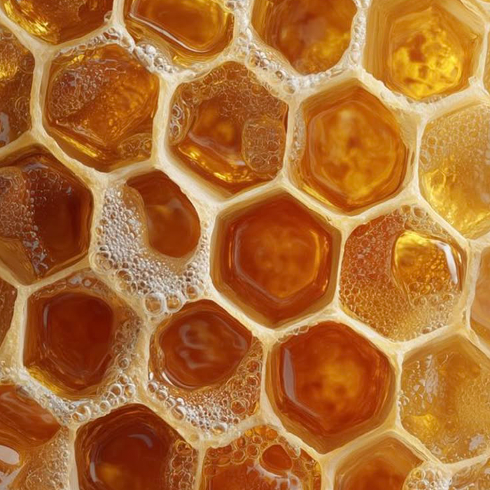 Honeycomb structure